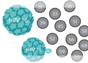 ویروسHPV  علائم، پیشگیری و درمان