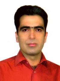 دکتر مجید محمدی