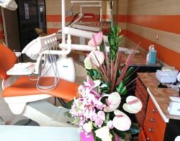 دکتر محمدرضا امین