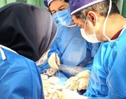 دکتر علیرضا اخوان رضایت