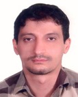 دکتر محمد هادی شکیبی