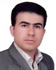 دکتر امیر مصفا