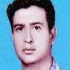 دکتر رضا همایی فر